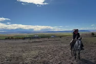 Farm i usa