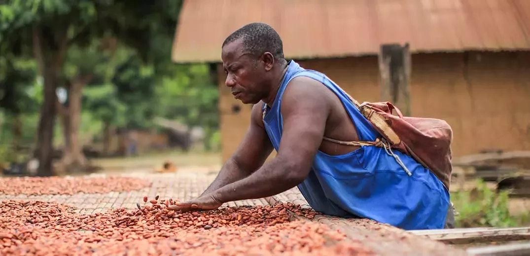 cocoa farmer