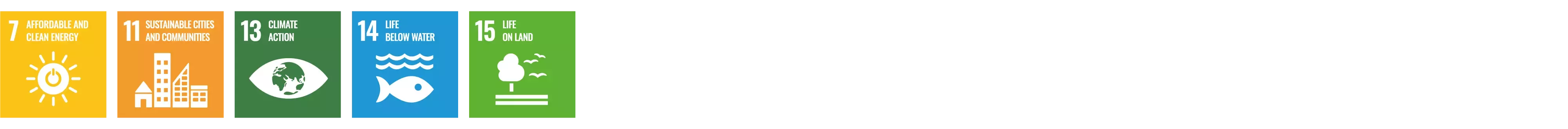 SDG bidrag